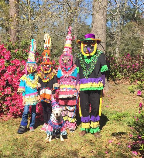 Traditional Mardi Gras Costumes For Sale at Lilian Leeann blog