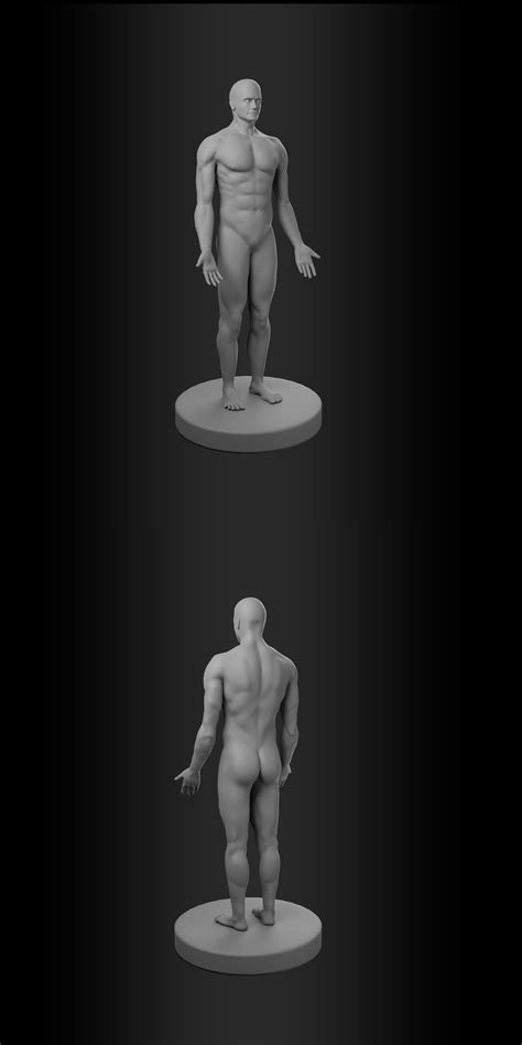 Image result for Blender Tutorial Human Body