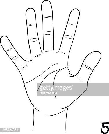 5 in Sign Language 的图像结果