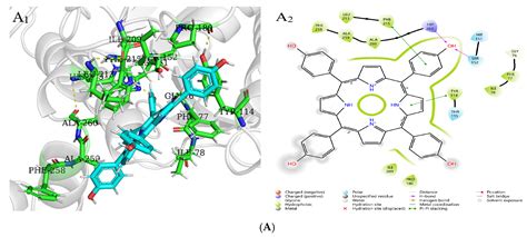 Understanding Anti-Obesity Potential of Four Porphyrin Compounds by ...