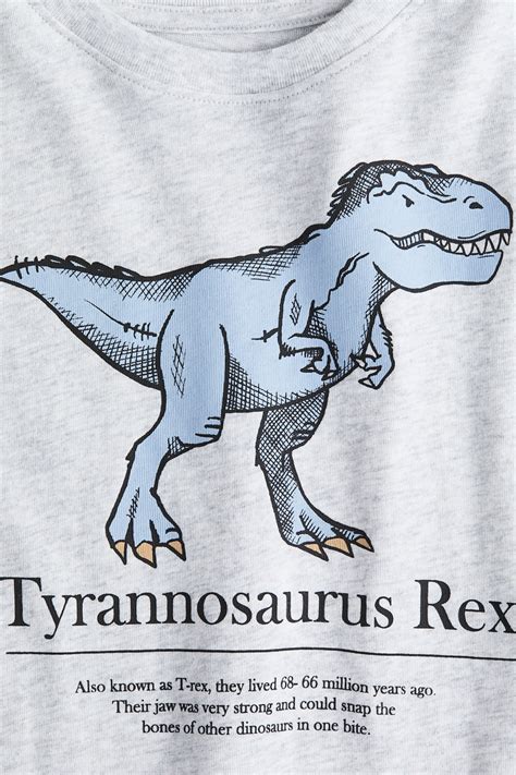 Motif-detail cotton T-shirt - Light grey marl/Dinosaur - Kids | H&M IN