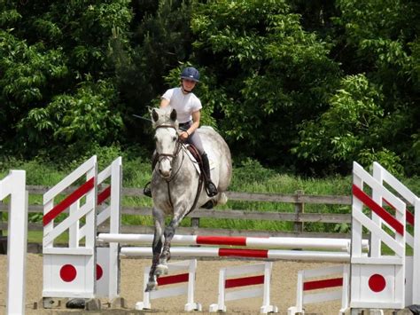 Blackfort Unaffiliated Showjumping, Eland Lodge Equestrian, Swadlincote ...