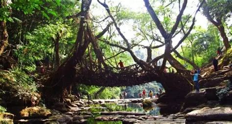 The Best Summer Vacation Places In North East India | WhatsHot Delhi Ncr