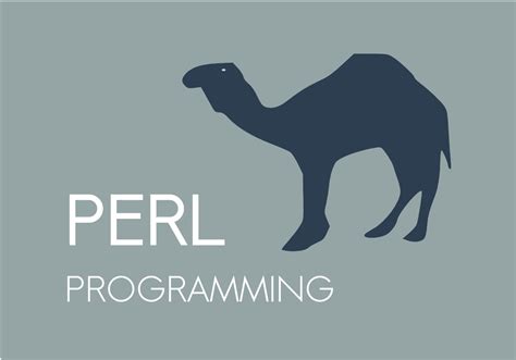 Image result for Perl Coding
