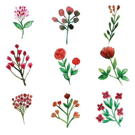 Set of wild red flower and leaves watercolor of spring season for ...