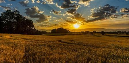 El floccus del paisaje