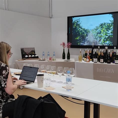 Master of Wine Essi Avellan discovers the latest developments in Cava ...