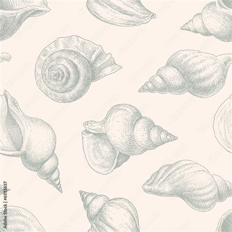 Shell Pattern 的图像结果