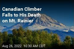 Tree Climber Death 的图像结果