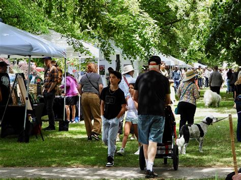 Summer Festival 2025 — Mount Baker Community Club