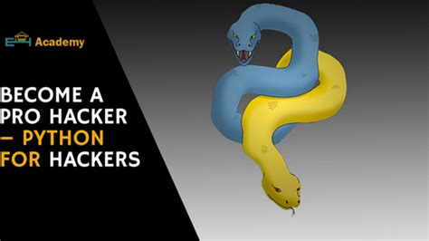 Image result for Python Virus