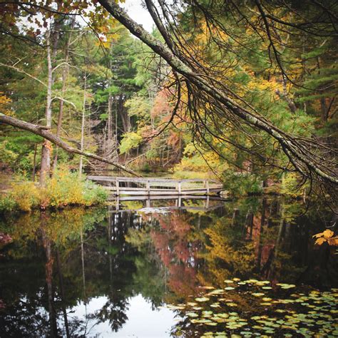 Broadmoor Wildlife Sanctuary & Hemlock Gorge Reservation (Massachusetts ...