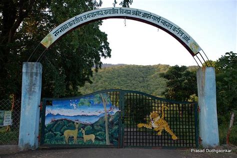 Narnala - JungleKey.in Image