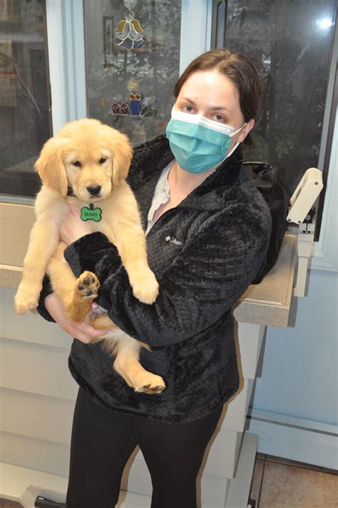 Clover! – Morris Hills Veterinary Clinic