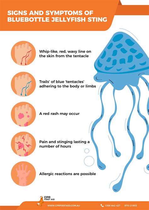 Bites And Stings | CPR First Aid