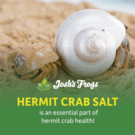 Josh's Frogs Hermit Crab Marine Salt and Scooper (Makes 8 Gallons of ...