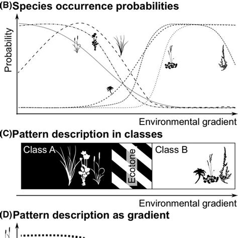 Image result for Environmental Gradient