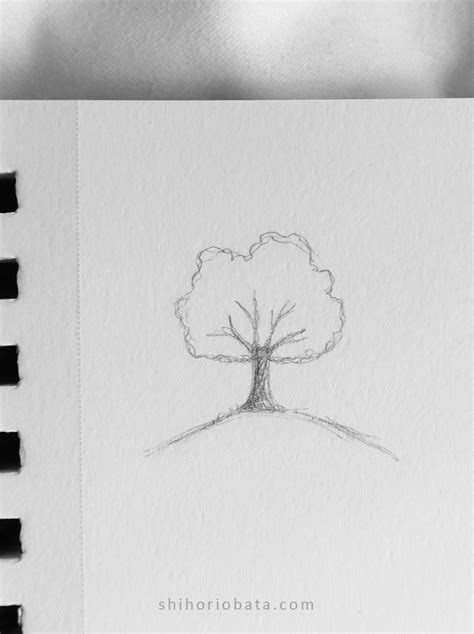 Image result for Basic Drawing of a Tree