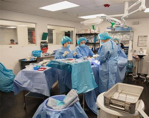 Surgical Technology Program 的图像结果