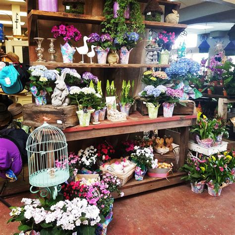 Johnson Garden Center | Gardening Products | Morgan Hill, CA