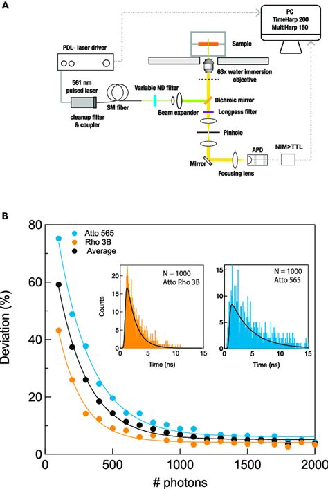 TCSPC Spectroscopy 的图像结果