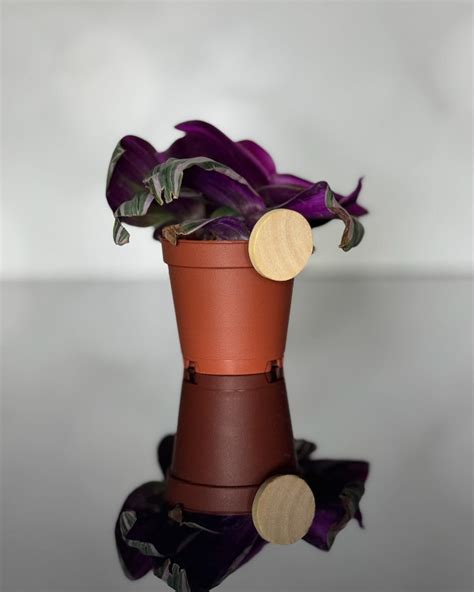 Fruit Fly Defense (@fruitflydefense) • Instagram photos and videos