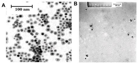 Development of a Hybrid Nanoprobe for Triple-Modality MR/SPECT/Optical ...