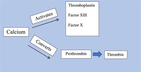 Trauma Diamond of Death: Adding Calcium to the Lethal Triad - Journal ...