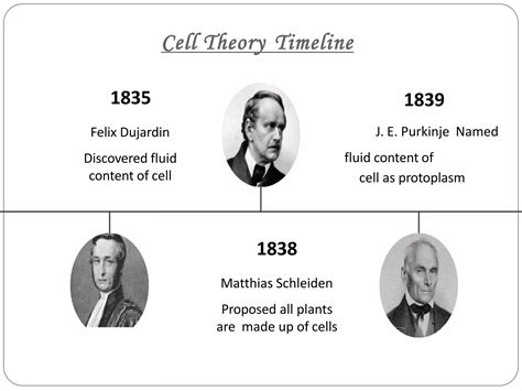 Harsh billore (cell the functional unit of life & cellular organisation) | PDF