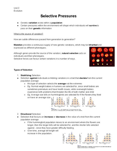 Evolution and Selective Pressures: Types of Natural Selection - Unit 2: Evolution Selective ...