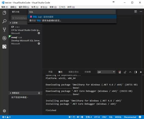 SQL Setup in vs Code 的图像结果