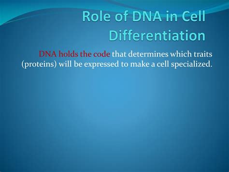Image result for Cell Stage Gene Expression