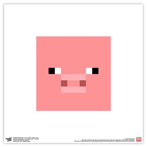 Minecraft Pig Faces