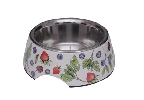 Smarty Pet Stainless Fruit Printed Steel Fancy Feeding Bowl for Dog and ...