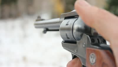 Image result for Revolver Shooting
