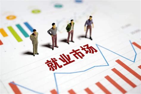 上海自贸区设立带热大学生就业市场(图) |自贸区|大学生就业|市场_新浪新闻
