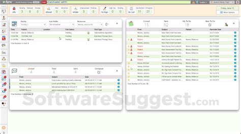 Insync EMR Tutorial 的图像结果