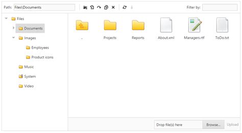 Image result for How to Load System Folder File in Webpage Using Asp.net in Window Form