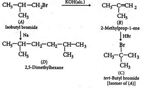 Primary alkyl halide C4H9Br (A) on reaction with alcoholic KOH gives ...