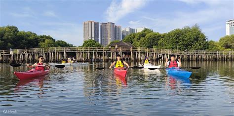 Canoeing Mangrove Experience and Pantjoran PIK Tour in Jakarta - Klook ...