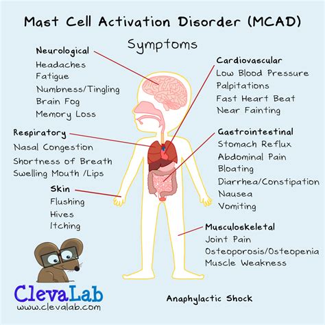 11 Mast cell activation syndrome ideas | mast cell activation syndrome, mast cell, masts