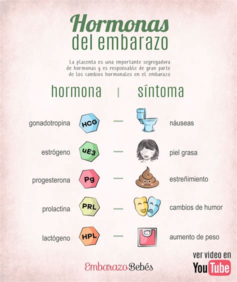 HORMONAS DEL EMBARAZO - Sintomas de embarazo | Síntomas de embarazo, Primeros síntomas de ...