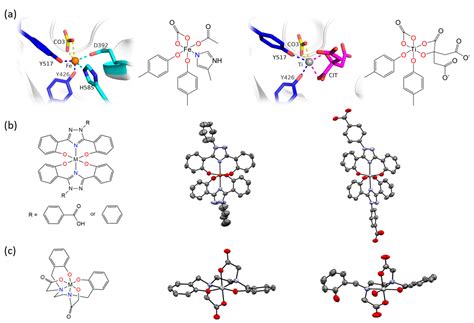 Using X-ray Diffraction Techniques for Biomimetic Drug Development ...