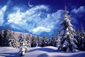 Winter Nature Poster- Decorative Poster - Decorative wall Poster -High ...