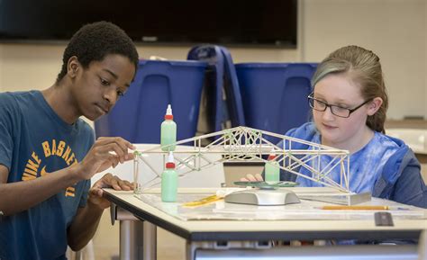 Stem Program 的图像结果