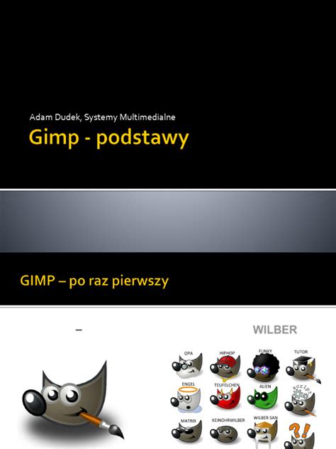 Image result for GIMP Tutorials for Beginners PDF