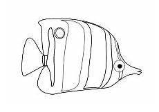 malvorlagen fische muscheln malvorlage korallenfisch malvorlagen ausmalbilder malvorlagen fische muscheln malvorlage korallenfisch malvorlagen ausmalbilder