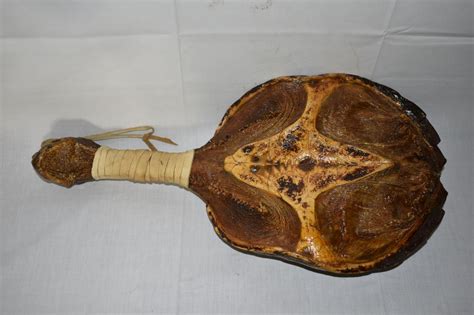 Image result for Red Ear Snapping Turtle Shell