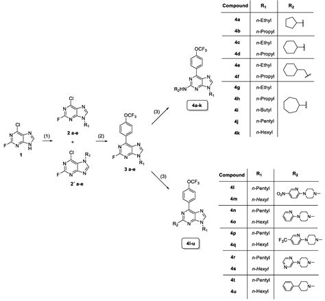 Promising 2,6,9-Trisubstituted Purine Derivatives for Anticancer ...