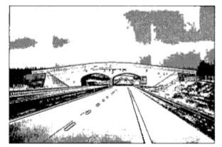 Case Study Based- 3 Applications of Parabolas-Highway Overpasses ...